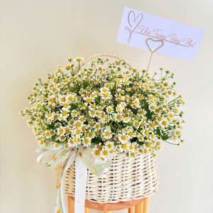 Giỏ Cúc Tana