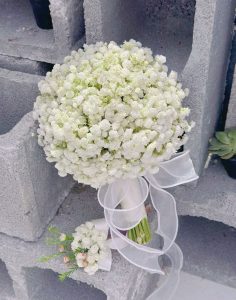 Hoa Baby Trắng