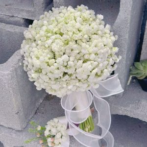 Hoa Baby Trắng