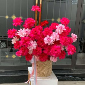 Pink Floy mix Lạc Thần