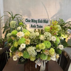Giỏ Xanh Lá 3 z7345956881006 a931d6dc8c17ce7122ed58130c080ff4