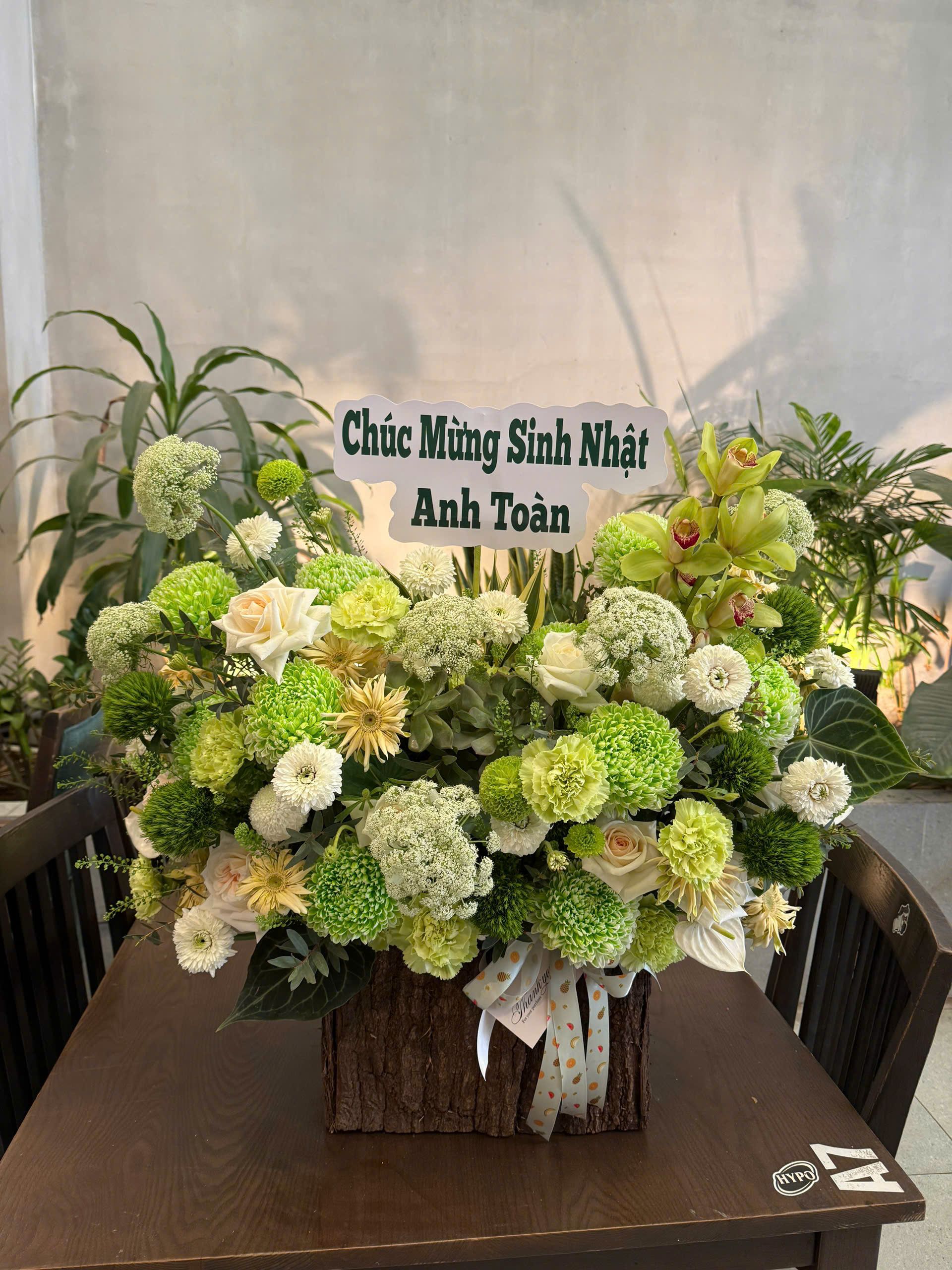 Giỏ Xanh Lá 2 z7345956881006 a931d6dc8c17ce7122ed58130c080ff4