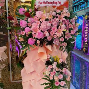 Kệ CM New