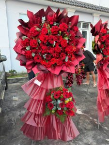 KCM Đồng Tiền