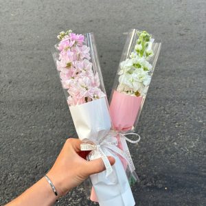 Phi yến loại 1 bông