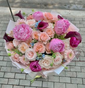 Hoa Mẫu đơn Mix